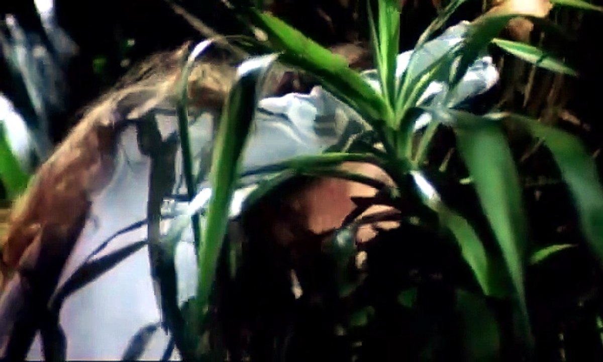 Θα σε δω στην κόλαση αγάπη μου (1998)