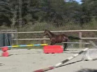 Thanos d'Aven Saut en Liberté