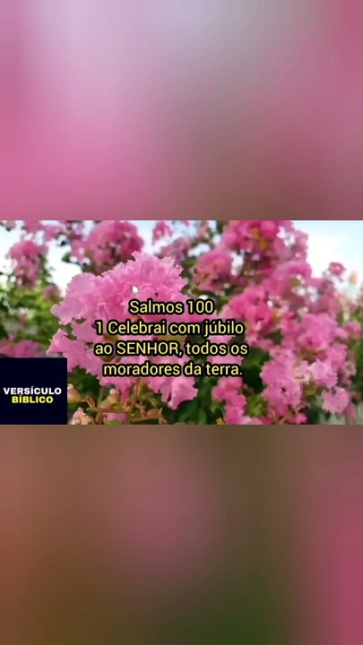 VERSÍCULO DO DIA. Salmos 100: Gratidão ao Senhor