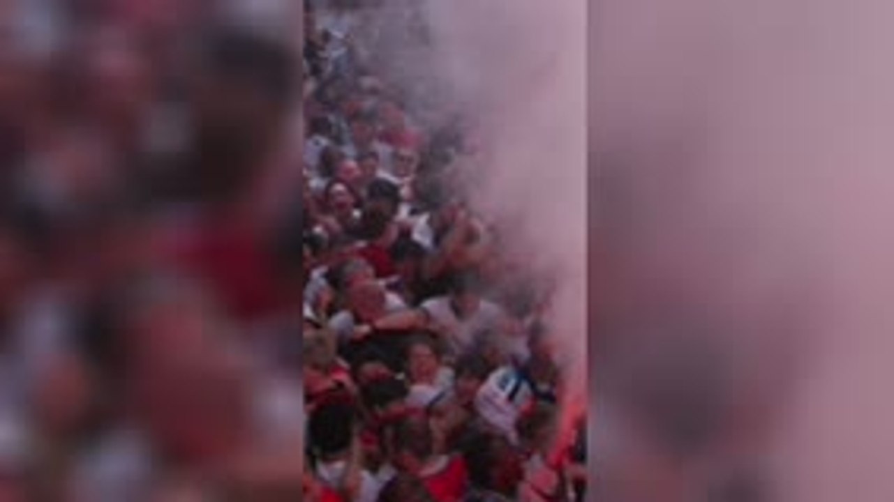 England fans go wild as they lead v Argentina