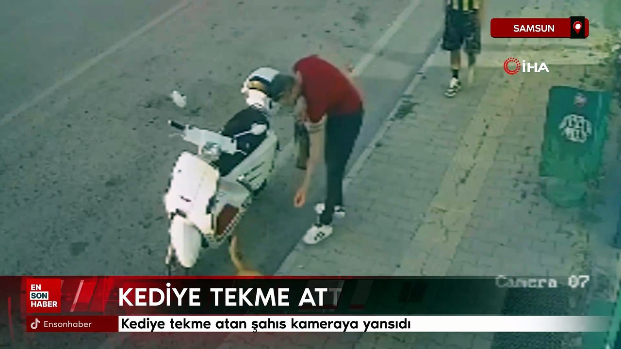 Samsun'da kediye tekme atan şahıs kamerada