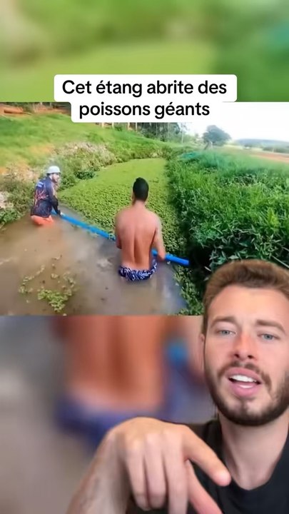 C’est fort