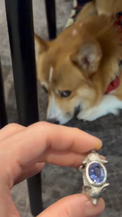 Bague corgi