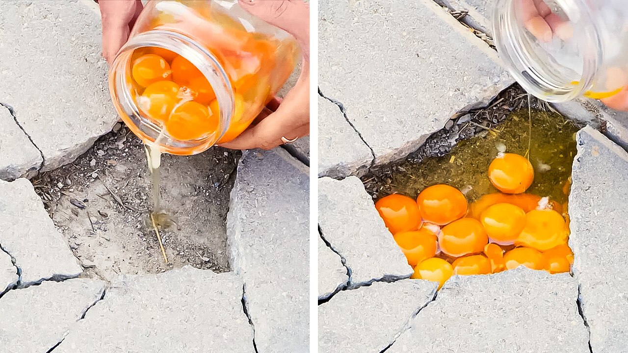Egg Innovations: Unbelievable Tips to Break Barriers