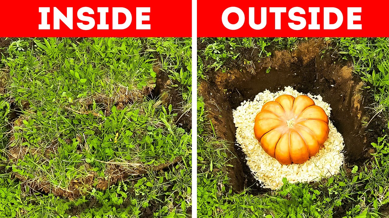 Creative Ways to Extend Food Freshness You Need...