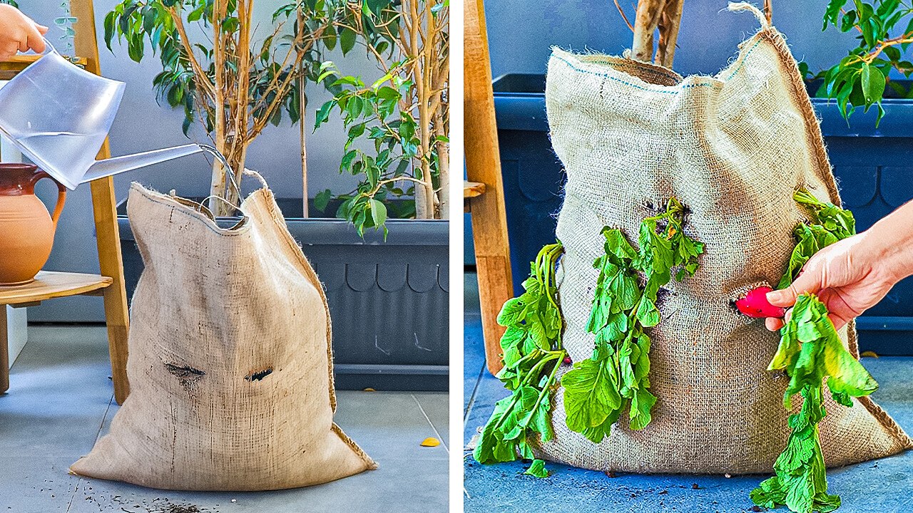 Easy Plant Growth Hacks for a Vibrant Garden in Just Two Simple Steps