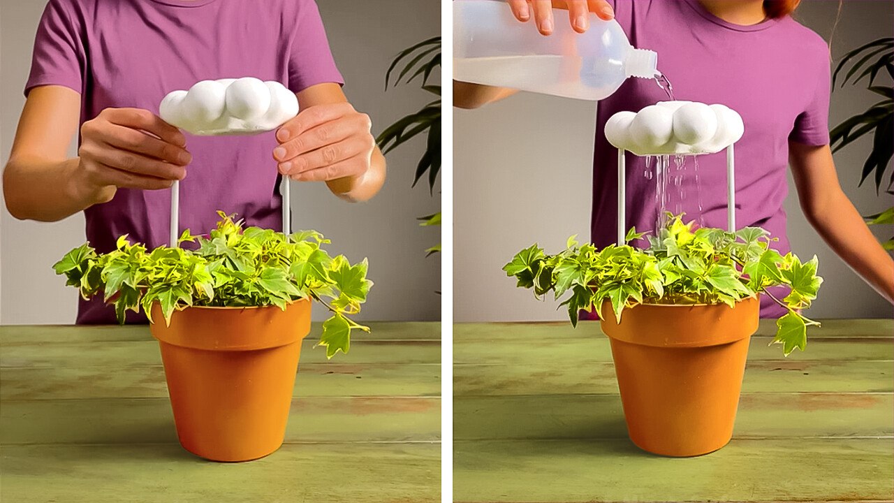 Essential Houseplant Hacks for All Levels of Gardeners