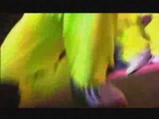 Weekend - Jestes Playboyem