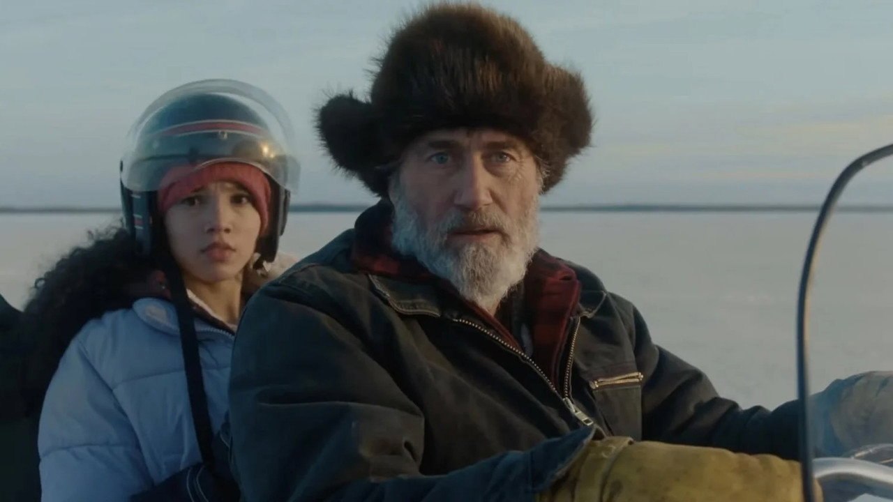 【cuevana-hd】» Hair of the Bear Pelicula Completa Online En Español Y Latino Subtitulada