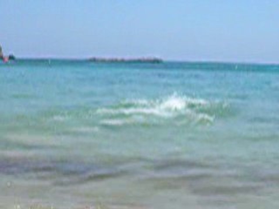 DSCN7899