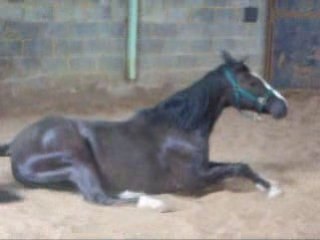 Mélody se roule tout en douceur !