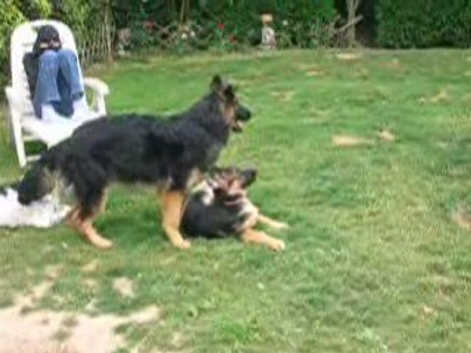 D'orcka 5-07-08 025