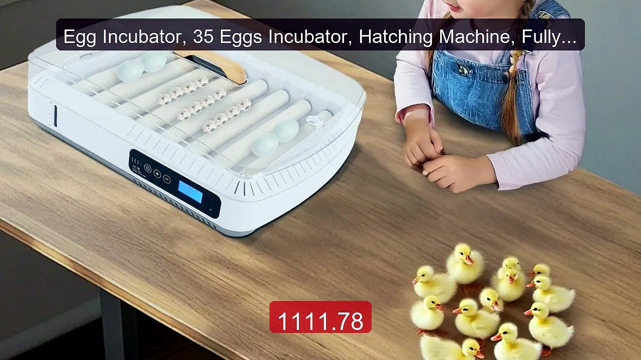 Egg Incubator, 35 Eggs Incubator, Hatching Machine, Fully Automatic... -- Top Rated 2026 | Buy Now!