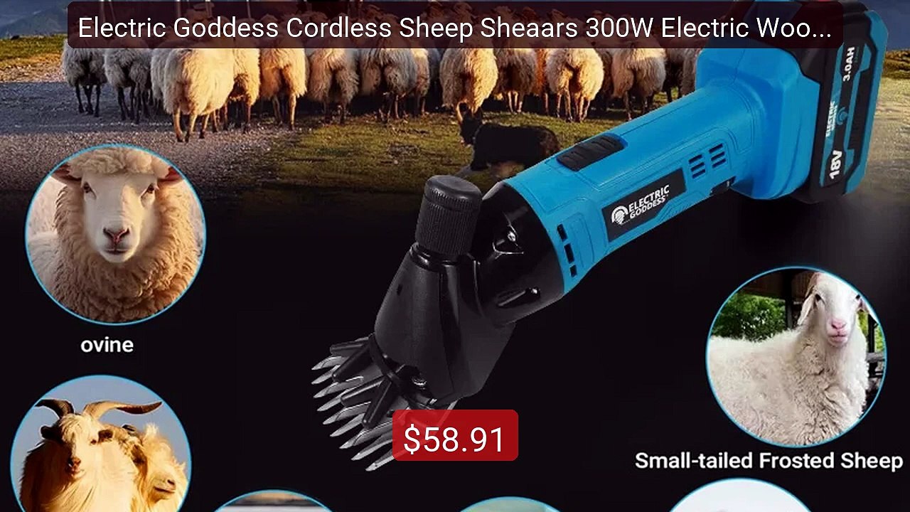 Electric Goddess Cordless Sheep Sheaars 300W Electric Wool Sh... -- Amazing Value 2026 | Must Have!