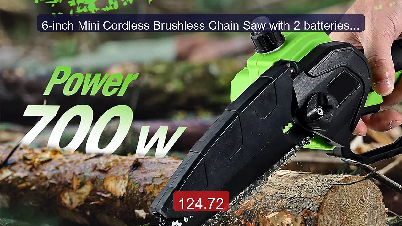 6-inch Mini Cordless Brushless Chain Saw with 2 batteries, Por... -- Best Buy 2026 | Great Quality!