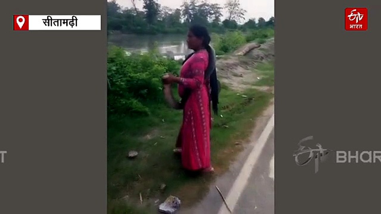 स्नेक लेडी को 10 फीट के किंग कोबरा ने डसा, एक चूक से रेस्क्यू के दौरान हादसा.. देखें VIDEO
