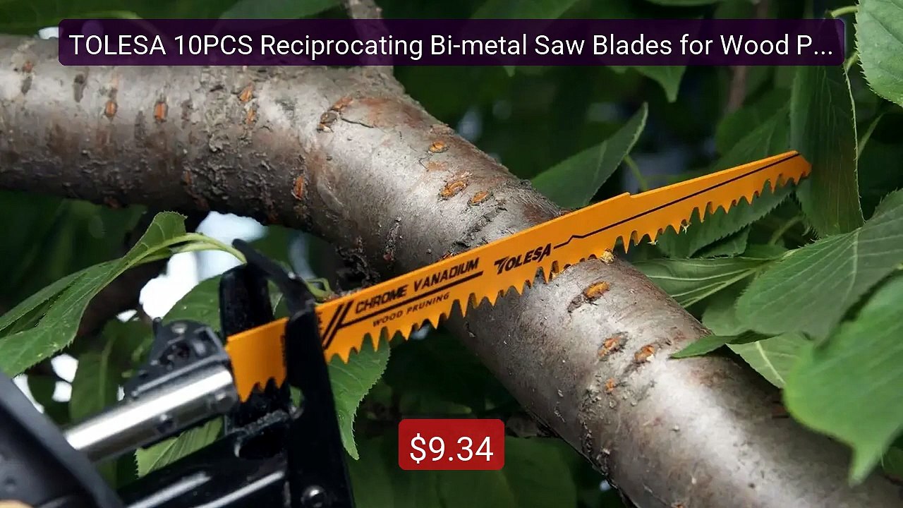 TOLESA 10PCS Reciprocating Bi-metal Saw Blades for Wood Pruning PVC... -- Top Rated 2026 | Buy Now!
