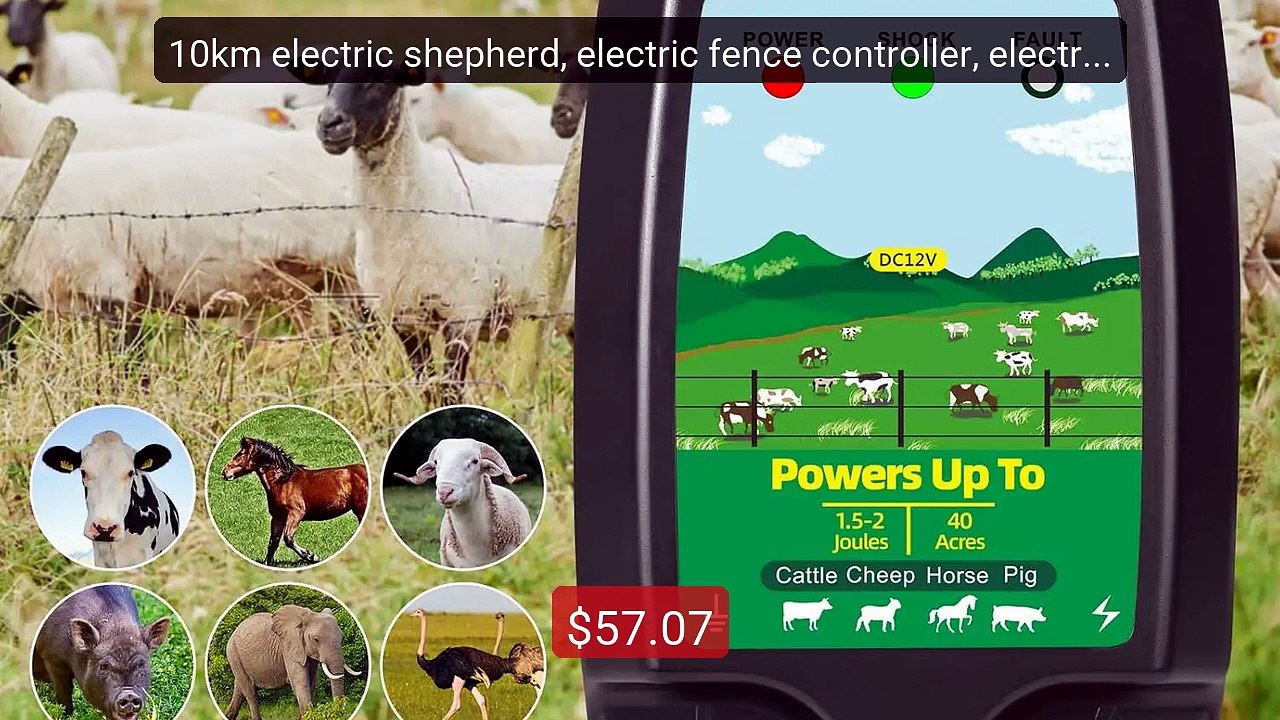 10km electric shepherd, electric fence controller, electric fence s... -- Top Rated 2026 | Buy Now!