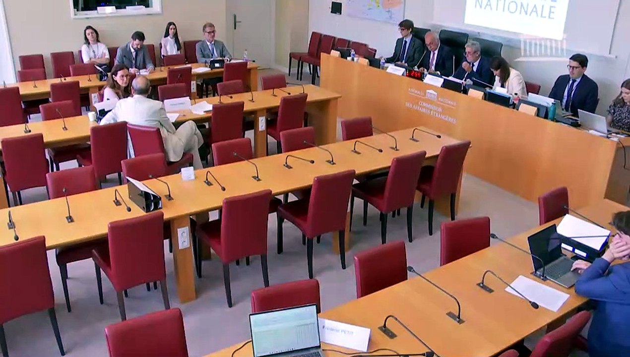 Commission des affaires étrangères : Prévoir des interdictions et des réglementations aux systèmes d’armes autonomes - Mercredi 15 juillet 2026