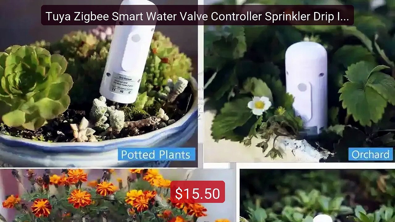 Tuya Zigbee Smart Water Valve Controller Sprinkler Drip Irrig... -- Amazing Value 2026 | Must Have!