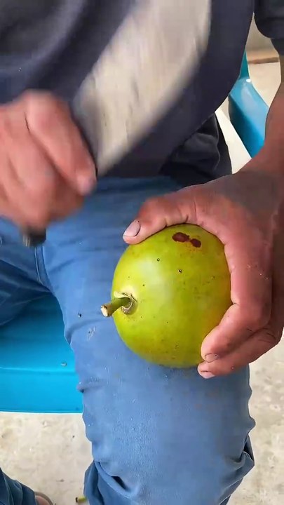 Elabore Un Juego De Totumitas 😱