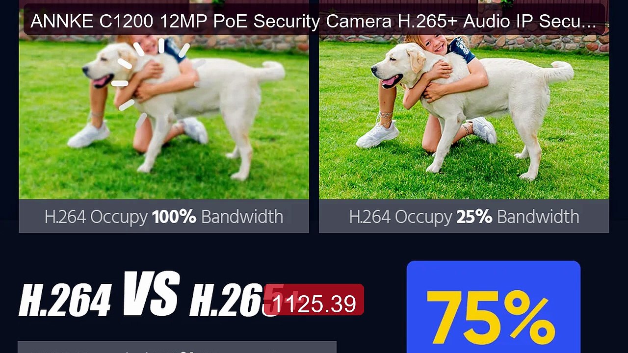 ANNKE C1200 12MP PoE Security Camera H.265+ Audio IP Security Surve... -- Top Rated 2026 | Buy Now!