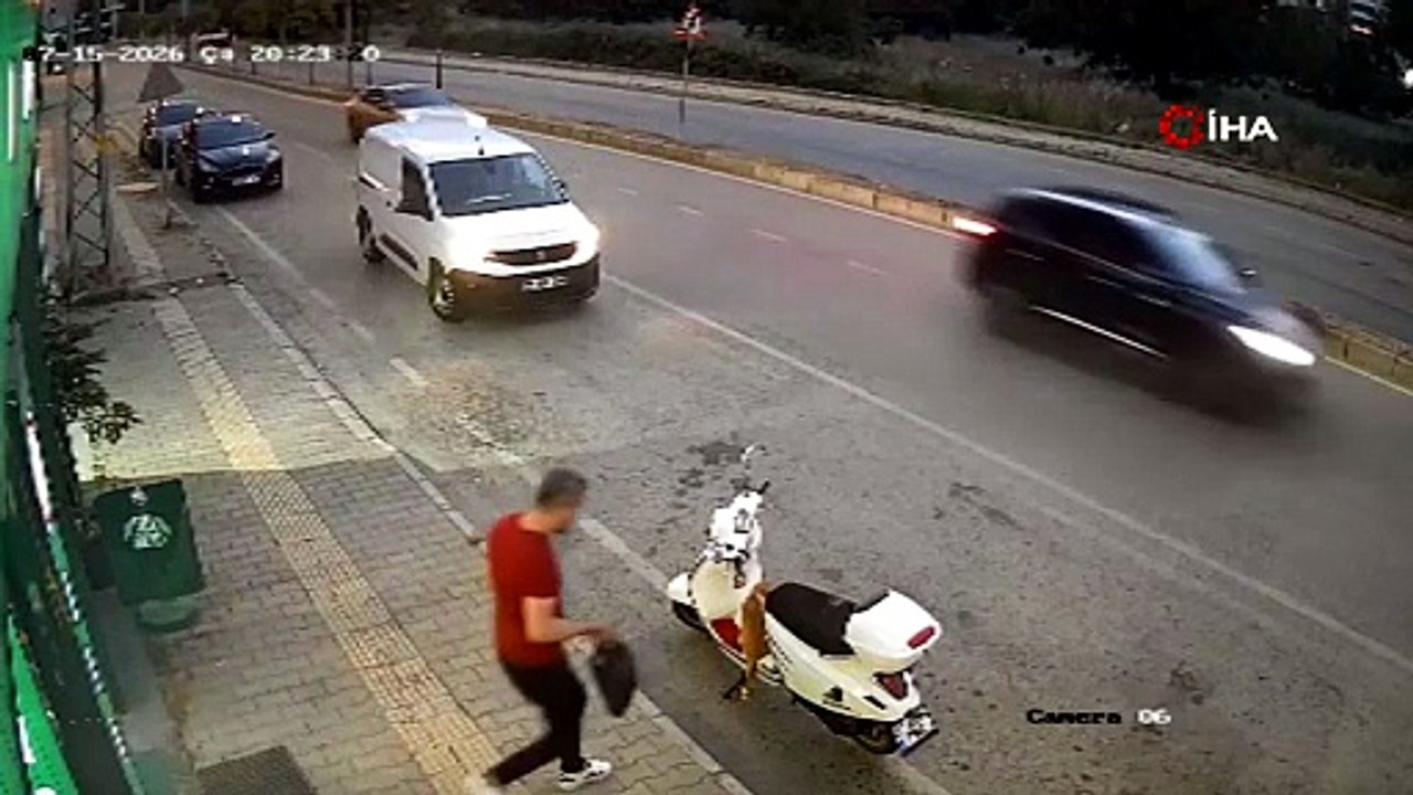 Dört ayaklı caniye şiddet uygulayan 2 ayaklı cani yakalandı!