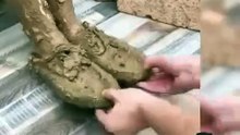 Lavadora de Zapatos Eléctrica | Limpieza Fácil y Profunda para tu Calzado | Erika Deals Hub
