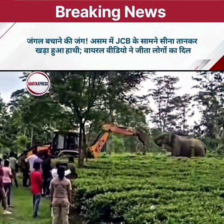 सोशल मीडिया पर असम का एक दिल छू लेने वाला वीडियो तेजी से वायर