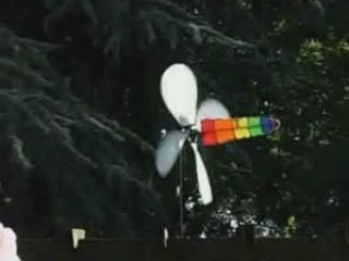 La girouette qui fait danser les fleurs