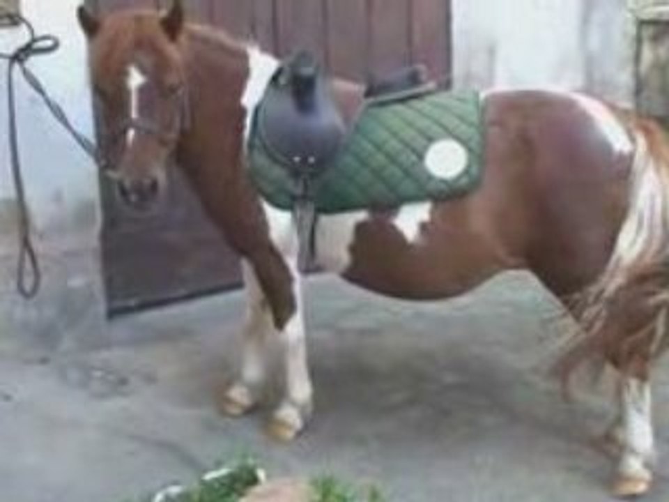 Ballade juillet Jade