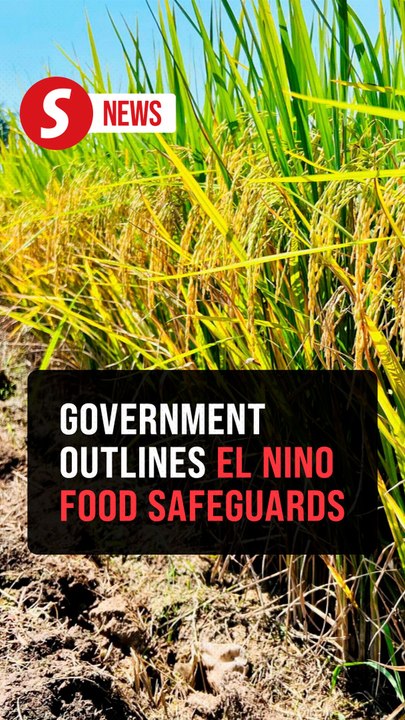 El Nino: Govt to bolster water management, padi farmer aid for food security
