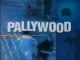 pallywood
