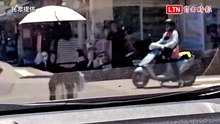 羅東鬧區驚見撐傘騎行李箱上街 網友大酸這算馬路三寶嗎？
