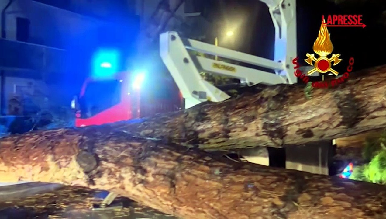 Maltempo in Emilia Romagna, a Forl? alberi abbattuti da raffiche di vento e pioggia