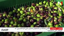 النشرة الاقتصادية - 16/07/2026