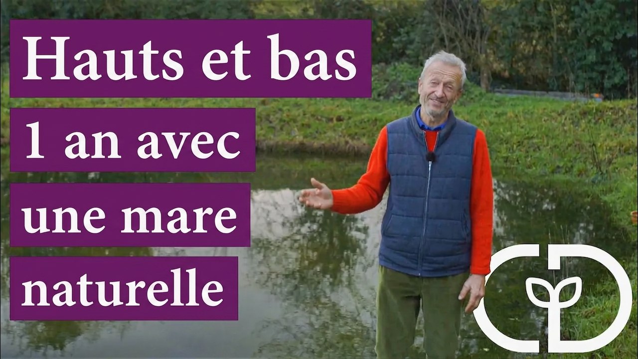 Bassin sans bâche : ça monte, ça baisse, puis ça remonte en 2022