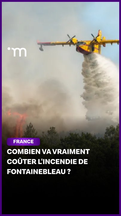 Voici combien va vraiment coûter l'incendie de Fontainebleau