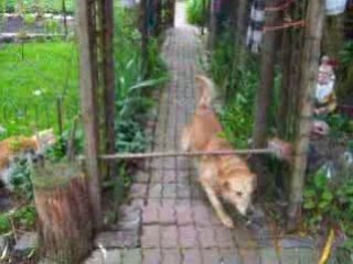 Un saut de Roucky : 2ème  tentative !