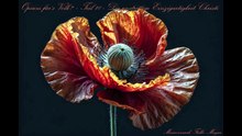 Opium für`s Volk? - Teil 10 - Die unstrittige Einzigartigkeit Christi