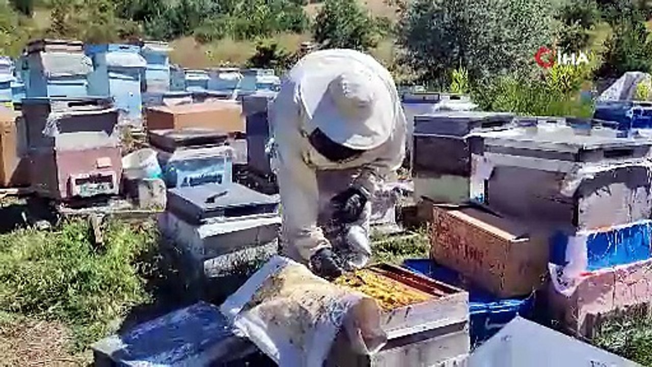 Türkiye'nin en doğal, en şifalı lezzetinin yeni adresi belli oldu