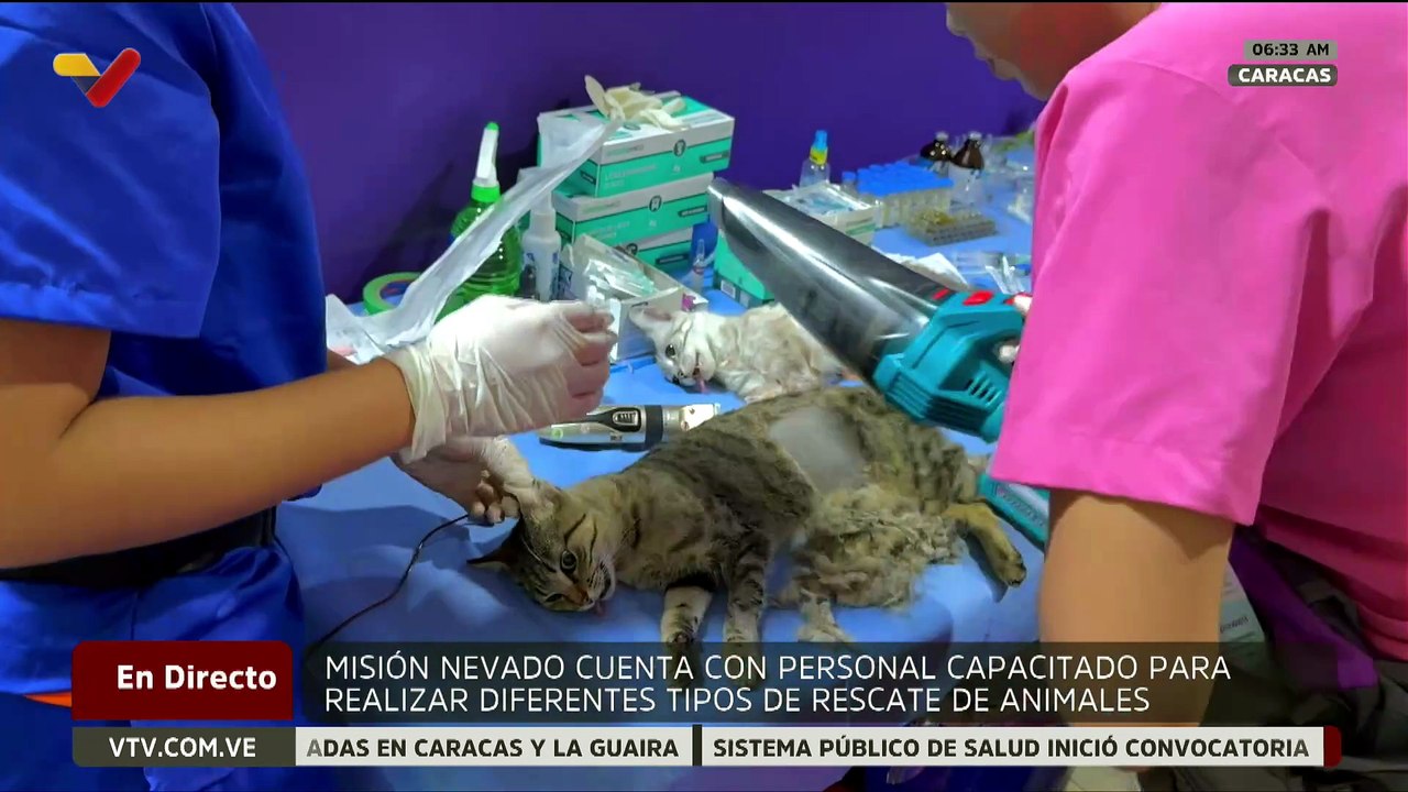 Misión Nevado continúa garantizando atención médica integral a animales vulnerables tras sismos