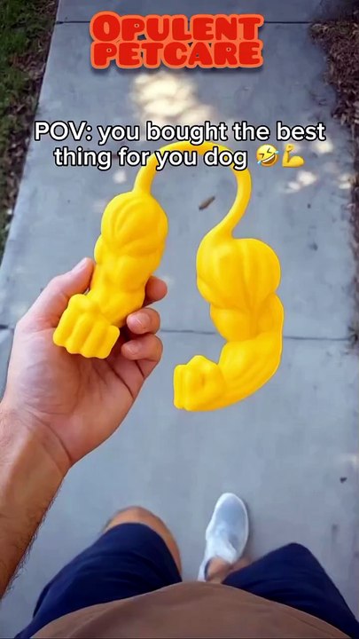 Funny Muscle Arm Pet Toy – Hilarious Photo Prop for Pets 😹💪 70% Off Flash Sale