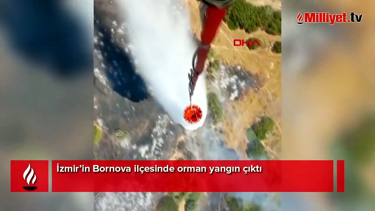 İzmir'de orman yangını! Müdahale başladı