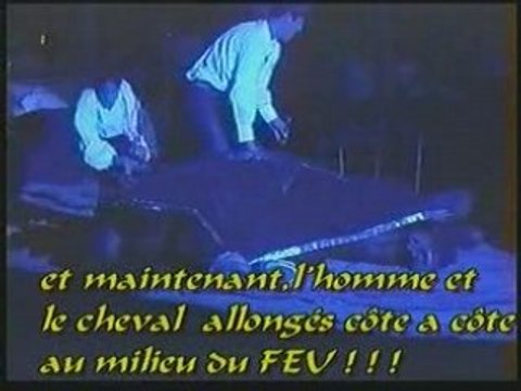 CHEVAL et FADO..CHEVAL et le FEU..L' ARABE le seigneur