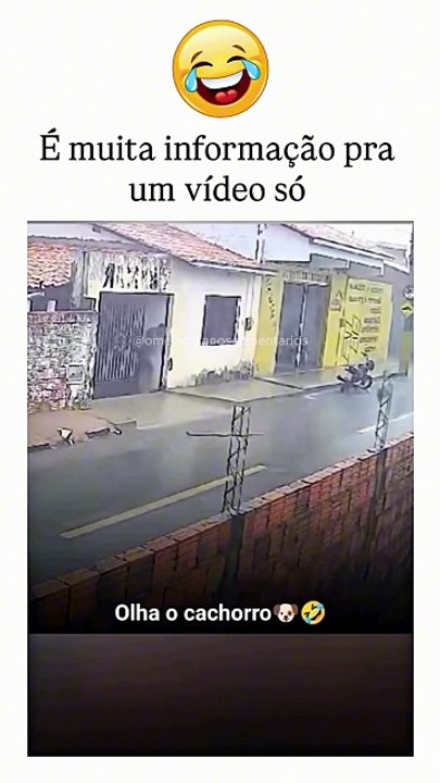 É muita informação para um vídeo só. 👨👨👨👨🏍🏍🏍🏍🐕🐕🐕🐕💨💨💨💨🌩🌩🌩🌩