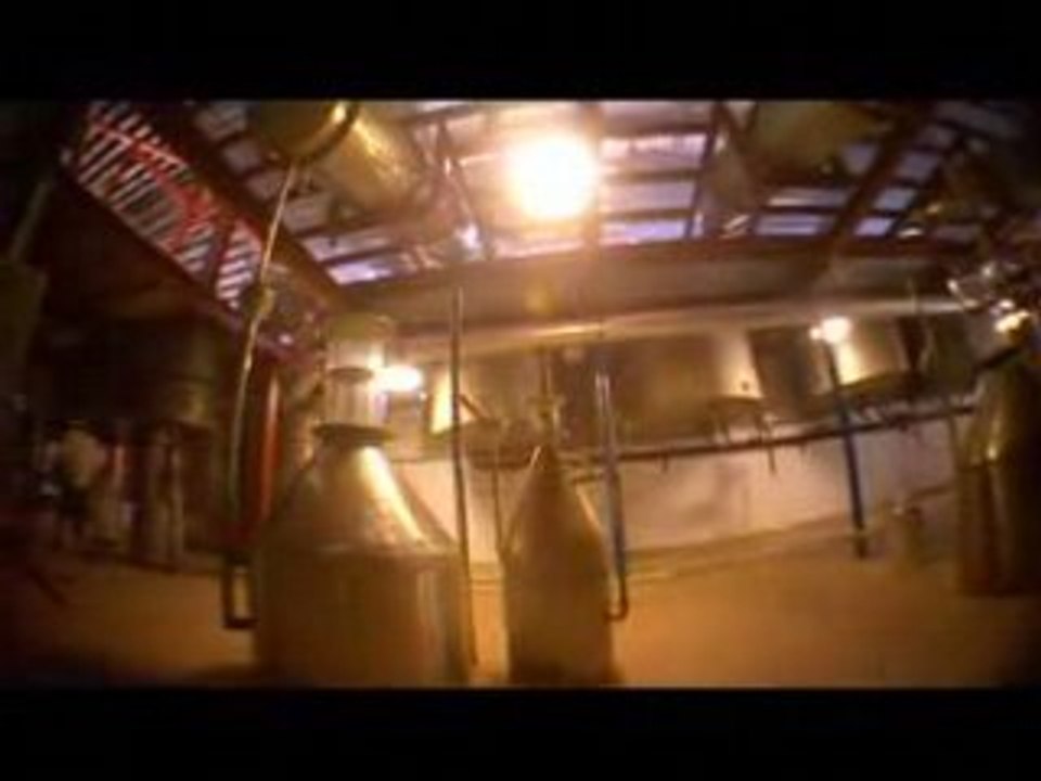 Von der Pflanze bis zum Ätherischen Öl