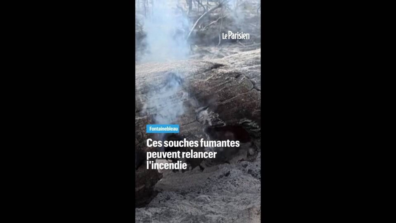 Fontainebleau toujours en alerte
