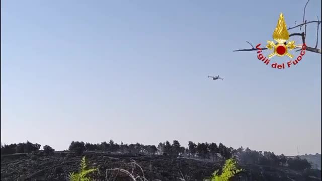 Incendio a Minervino Murge, le fiamme si riattivano. Paura in paese