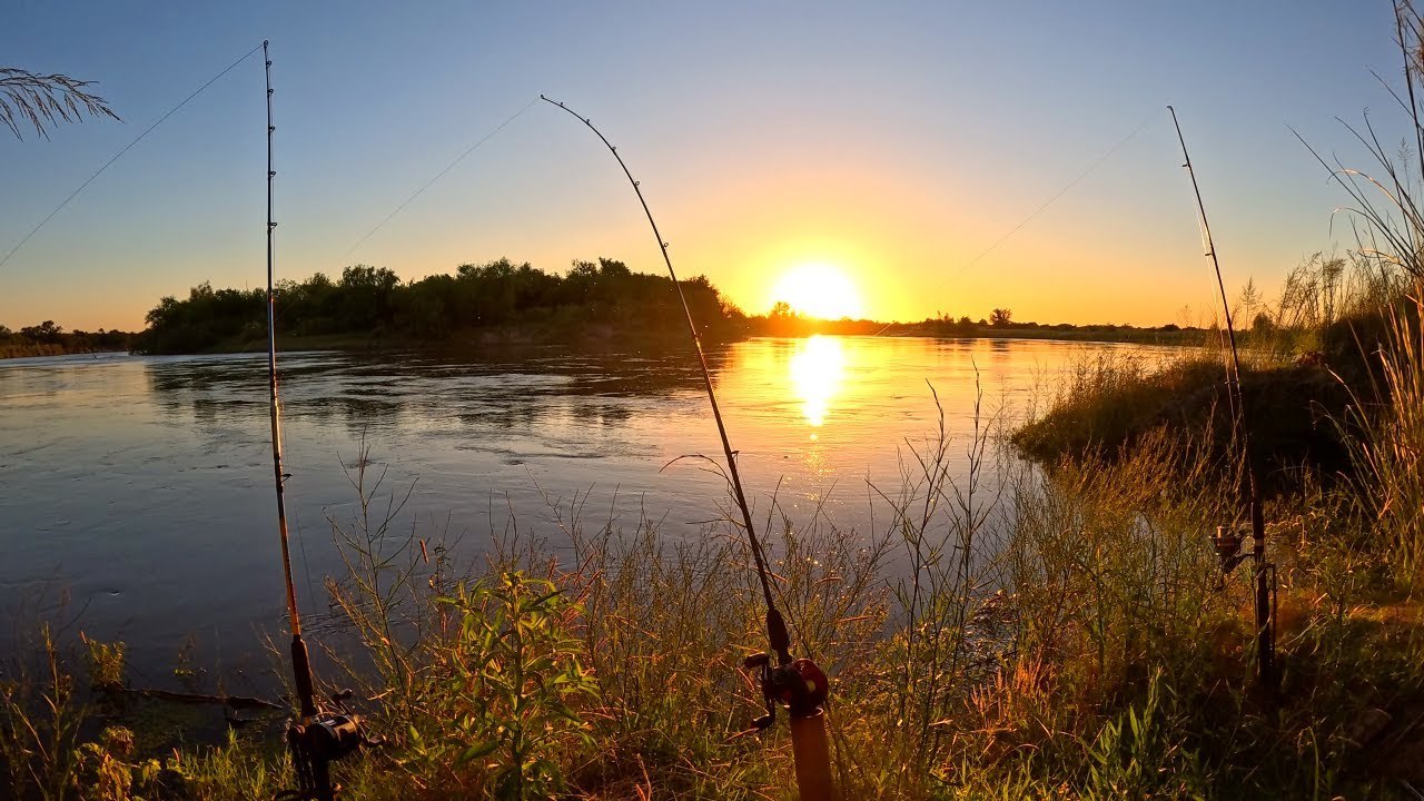 CAMPAMENTO DE PESCA Y COCINA EN Rio Gualeguay, Pescado asado y bagres fritos en la naturaleza